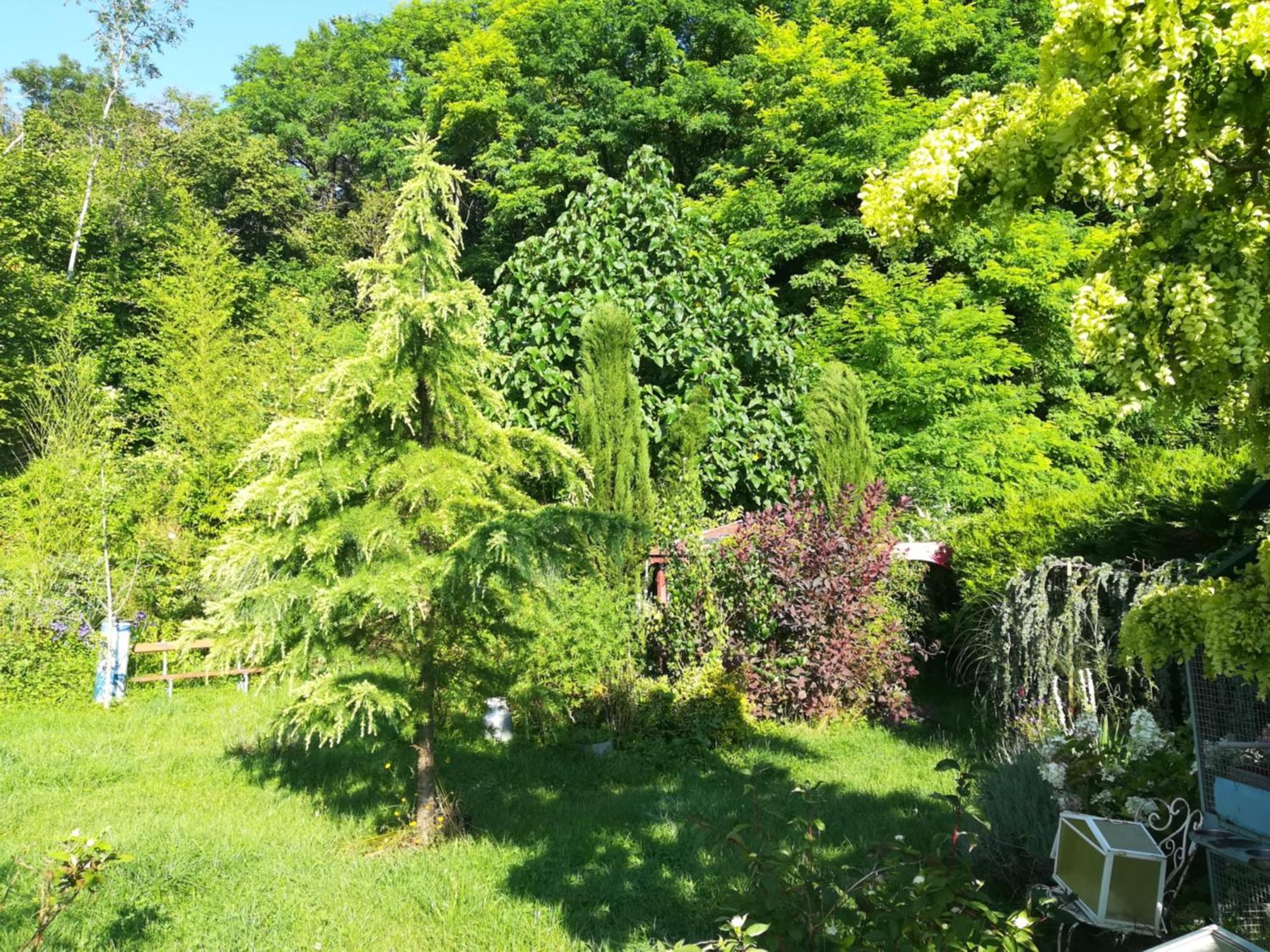 Apiculteur Loue 2 Chambres Dans Cadre Verdoyant Pagny-sur-Meuse Eksteriør bilde
