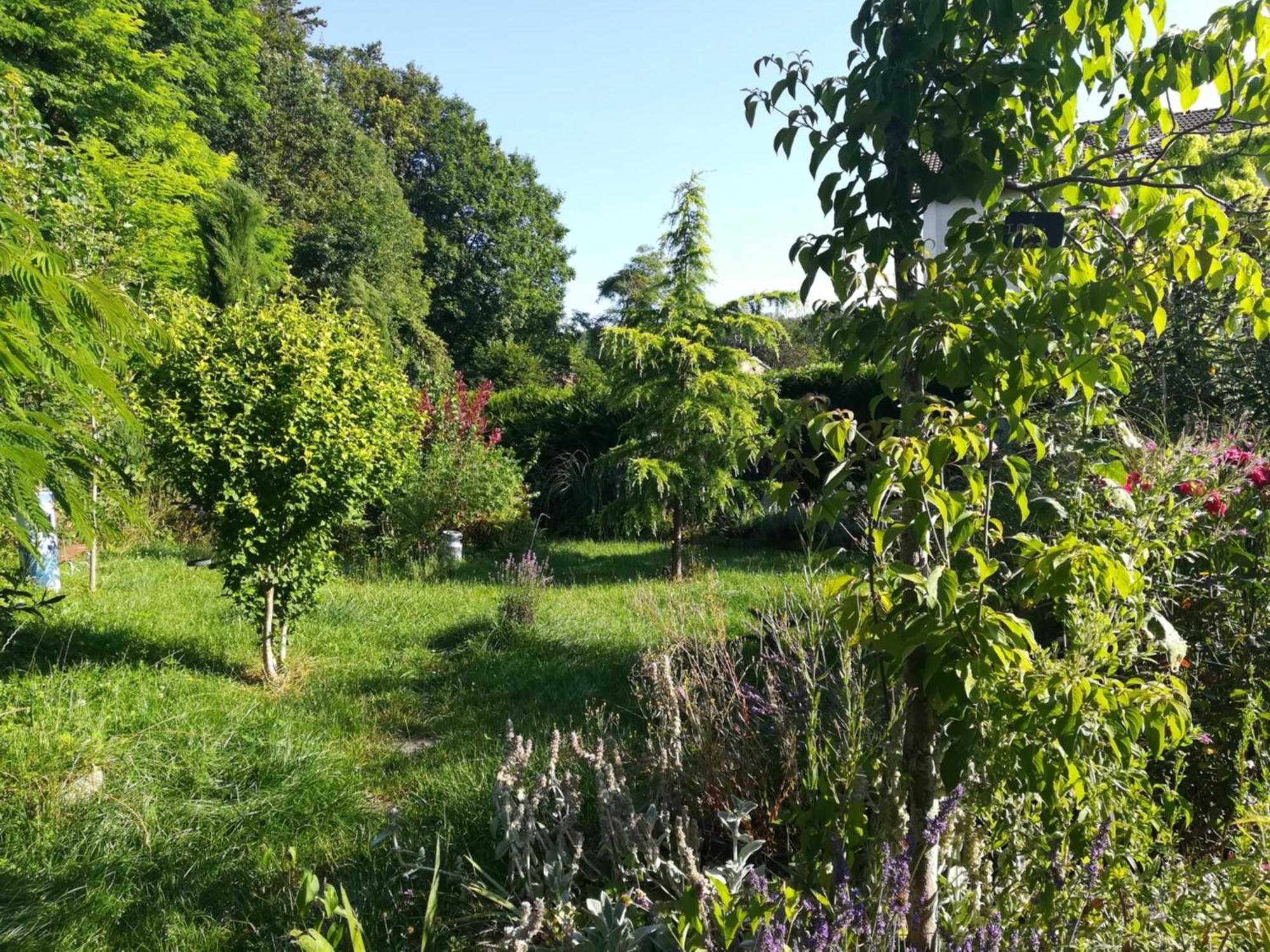 Apiculteur Loue 2 Chambres Dans Cadre Verdoyant Pagny-sur-Meuse Eksteriør bilde